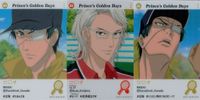 Prince of Tennis Princes Golden Days 3 Card Set Sanada