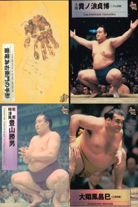 BBM 97 Sumo Wrestling Card Lot Takanoha Daiosho 4pc