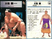 BBM 97 Sumo Card Set 4 Cards Takanoha Mizuoizumi サムネイル 5