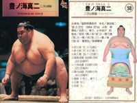 BBM 97 大相撲カード 豊ノ海 大翔鳳 木村咸喬 他 4枚セット まとめ まとめ カード サムネイル 3