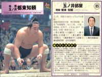 BBM 97 大相撲カード 横綱 佐田の山 敷島 他 4枚セット レトロ まとめ カード サムネイル 4