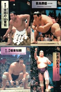 BBM 97 Sumo Card Yokozuna Sadanooka Shikishima Lot Retro