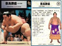 BBM 97 大相撲カード 横綱 佐田の山 敷島 他 4枚セット レトロ まとめ カード サムネイル 3