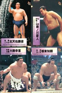 BBM97 大相撲カード 親方 大鵬 北天佑 藤ノ川 栃東 4枚セット まとめ まとめ カード サムネイル 1