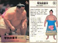 BBM97 大相撲カード 琴別府 海鵬 長谷川 金星特集 他 4枚セット まとめ まとめ カード サムネイル 2