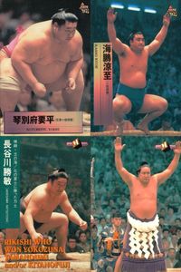BBM97 Sumo Card Lot Kotobeppu Umio Hasegawa 4 Card