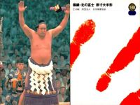 BBM97 大相撲カード 琴別府 海鵬 長谷川 金星特集 他 4枚セット まとめ まとめ カード サムネイル 5