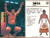 BBM97 大相撲カード 琴別府 海鵬 長谷川 金星特集 他 4枚セット まとめ まとめ カード サムネイル 3
