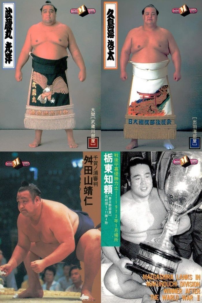 BBM97 大相撲カード 武蔵丸 久島海 栃東 舛田山 4枚セット まとめ まとめ カード