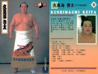 BBM97 大相撲カード 武蔵丸 久島海 栃東 舛田山 4枚セット まとめ まとめ カード サムネイル 3