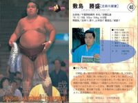 BBM97 大相撲カード 双葉山 高見山 佐田の山 敷島 4枚セット まとめ まとめ カード サムネイル 2