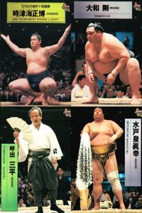 BBM Sumo Card Lot Mitohio Tokitsumi Yamato Japanese