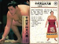 BBM '97 大相撲カード 千代大海 北の湖 栃司 千代天山 4枚セット まとめ まとめ カード サムネイル 5