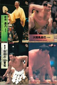BBM Sumo Wrestling Cards Lot 4pc Sadanoumi Daishoho