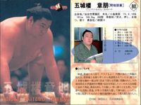 BBM 大相撲カード 佐田の山 大翔鳳 五城楼 呼出長八 4枚まとめ売り 横綱 まとめ カード サムネイル 5