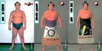 BBM98 Sumo Card Lot Kinkaiyama Kogo Tougi Set