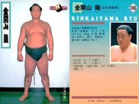 【BBM98】大相撲カード 金開山 皇司 闘牙 3枚セット トレカ まとめ まとめ カード サムネイル 2