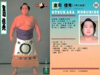 【BBM98】大相撲カード 金開山 皇司 闘牙 3枚セット トレカ まとめ まとめ カード サムネイル 3