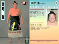 【BBM98】大相撲カード 金開山 皇司 闘牙 3枚セット トレカ まとめ まとめ カード サムネイル 4