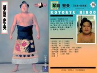 【BBM98】大相撲カード 琴別府 琴稲妻 琴龍 3枚セット 佐渡ヶ嶽部屋 まとめ カード サムネイル 4