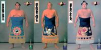 BBM98 Sumo Wrestling Card Lot Kinbetsufu Kininazuma Kinryu