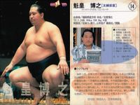 【BBM98】大相撲カード 魁皇 琴錦 貴闘力 3枚セット まとめ売り 平成 まとめ カード サムネイル 2
