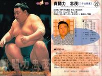 【BBM98】大相撲カード 魁皇 琴錦 貴闘力 3枚セット まとめ売り 平成 まとめ カード サムネイル 4