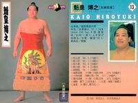 【BBM98】大相撲カード 貴闘力 琴錦 魁皇 3枚セット 化粧まわし まとめ まとめ カード サムネイル 4