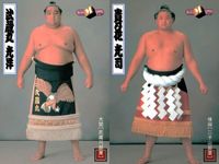 Sumo Card Musashimaru Takanohana Yokozuna Lot Rare