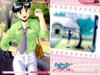 トゥルーラブストーリー TLS Remember My Heart 9枚 まとめ まとめ カード サムネイル 6