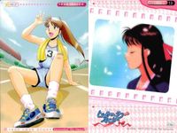トゥルーラブストーリー TLS Remember My Heart 9枚 まとめ まとめ カード サムネイル 7