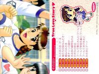 True Love Story TLS Retro Visual Novel Card 9 Cards Lot サムネイル 10
