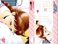 True Love Story TLS Card Lot 9 Cards Galge サムネイル 7