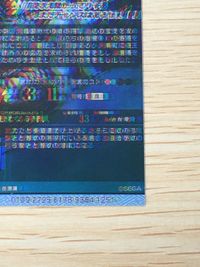 【激レア?】 エラー ？ 二重 ぼやけ 樊於期 第４弾 SR スーパーレア カード キラ サムネイル 10