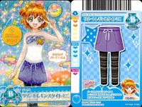 プリキュア データカードダス プリキュア DCD フレッシュプリキュア 祈里 美希 私服 カード まとめ セット カード まとめ サムネイル 2
