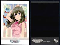 アイマス 15th ぱしゃこれ デレマス ミリマス 豪華9枚セット カード まとめ サムネイル 5