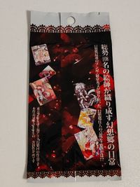 東方トレーディングカード「彩-aya-」 未開封 魚ウサ王先生 東方 サムネイル 2