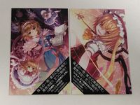 東方虎机 第3弾 トレカ No.03 アリス & No.06 フランドール 東方Project とらのあな 2010年 An2A きぃら～☆ 東方幻奏画報弐 絶版 コレクション カード サムネイル 1