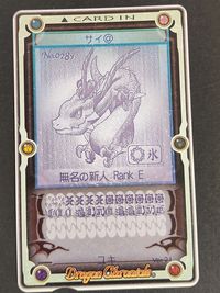 ナムコオンライン 対戦型アーケードゲーム ドラゴンクロニクル カード 天空大決戦オンライン namco ナムコ サムネイル 1