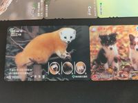 未使用（期限失効） パスネット Tカード 都営地下鉄 東京メトロ 動物系 子ぎつねヘレン まとめ キッズワールド ネコ キリン サムネイル 4