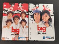 【未使用】SFメトロカード 2枚セット ミュージカル big ビッグ 唐沢寿明 酒井法子 ジャニーズJr. 営団地下鉄 都営地下鉄 レトロ 交通カード コレクション用