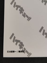 【エラーカード】裏面ダブルプリント ハイキュー カード 烏野高校 勝利 歓喜 集合 原画風 イラストカード 日向翔陽 影山飛雄 月島蛍 山口忠 澤村大地 菅原孝支 東峰旭 西谷夕 田中龍之介 コレクショングッズ サムネイル 3