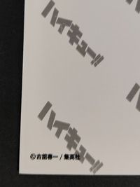 【エラーカード】裏面ダブルプリント 10th クロニクル ハイキュー フォト カード 烏野 日向翔陽 烏養一繋 元監督 原作絵 サムネイル 3