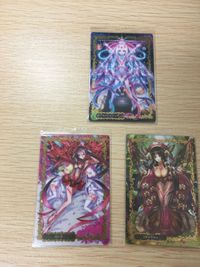 Garden Eden Wafer Card Lot SR R Rare Kira Holo サムネイル 6