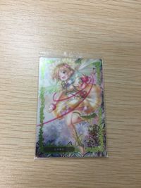 Garden Eden Wafer Card Lot SR R Rare Kira Holo サムネイル 2