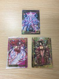 Garden Eden Wafer Card Lot SR R Rare Kira Holo サムネイル 4