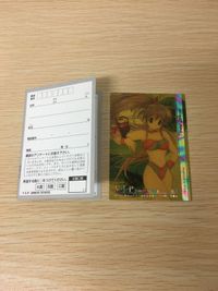 VIP プレゼント スペシャル カード 是空 とおる 001 Venus In Paradise V I P ヴィーナス・イン・パラダイス 2000 SUMMER サムネイル 1