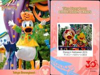 ディズニー コレクション カード まとめ TDR コレカ 30周年 ハロウィン 夏 2013 9枚まとめ サムネイル 3