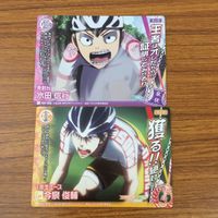 トレカ カード まとめ 弱虫ペダル トレペダ ごめん委員長 東童 尽八 田所 迅 石垣 光太郎 小野田 坂道 巻島 祐介 水田 信行 37 サムネイル 9