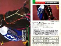 カード ホースレーシング まとめ ロングカイウン メイショウジェニエ オンワードアトゥ ギャロップダイナ スエヒロジョウオー メジロファントム タケノベルベット マティリアル フサイチシンイチ 競馬 馬 バンダイ bandai サムネイル 6
